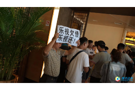 陇县债务清欠服务