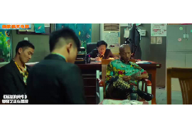 陇县贷款清欠服务