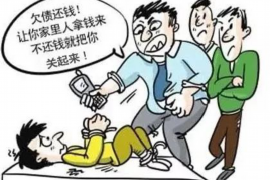 陇县工资清欠服务