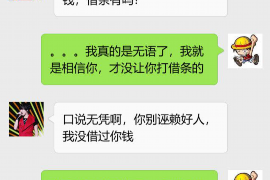 陇县企业清欠服务